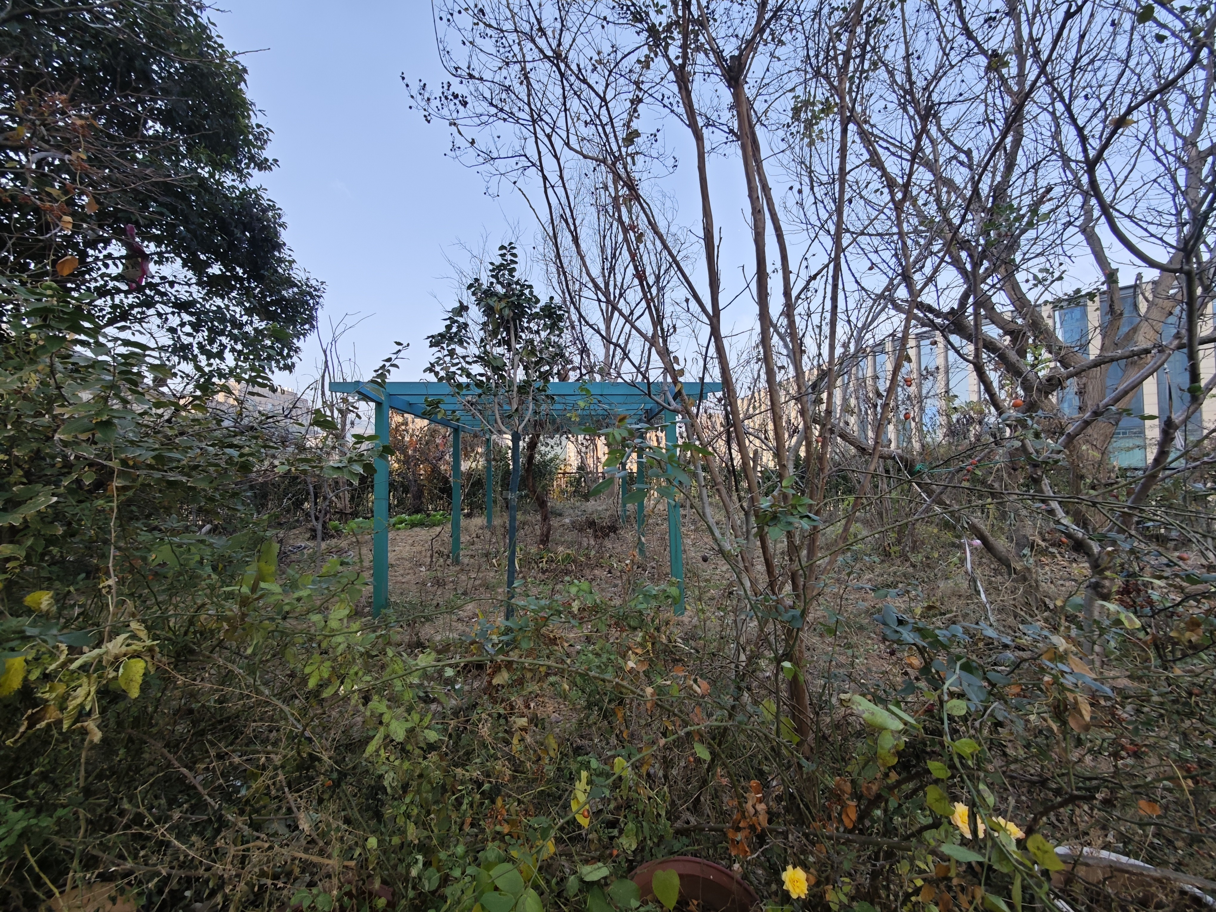 海尔绿城全运村锦兰园