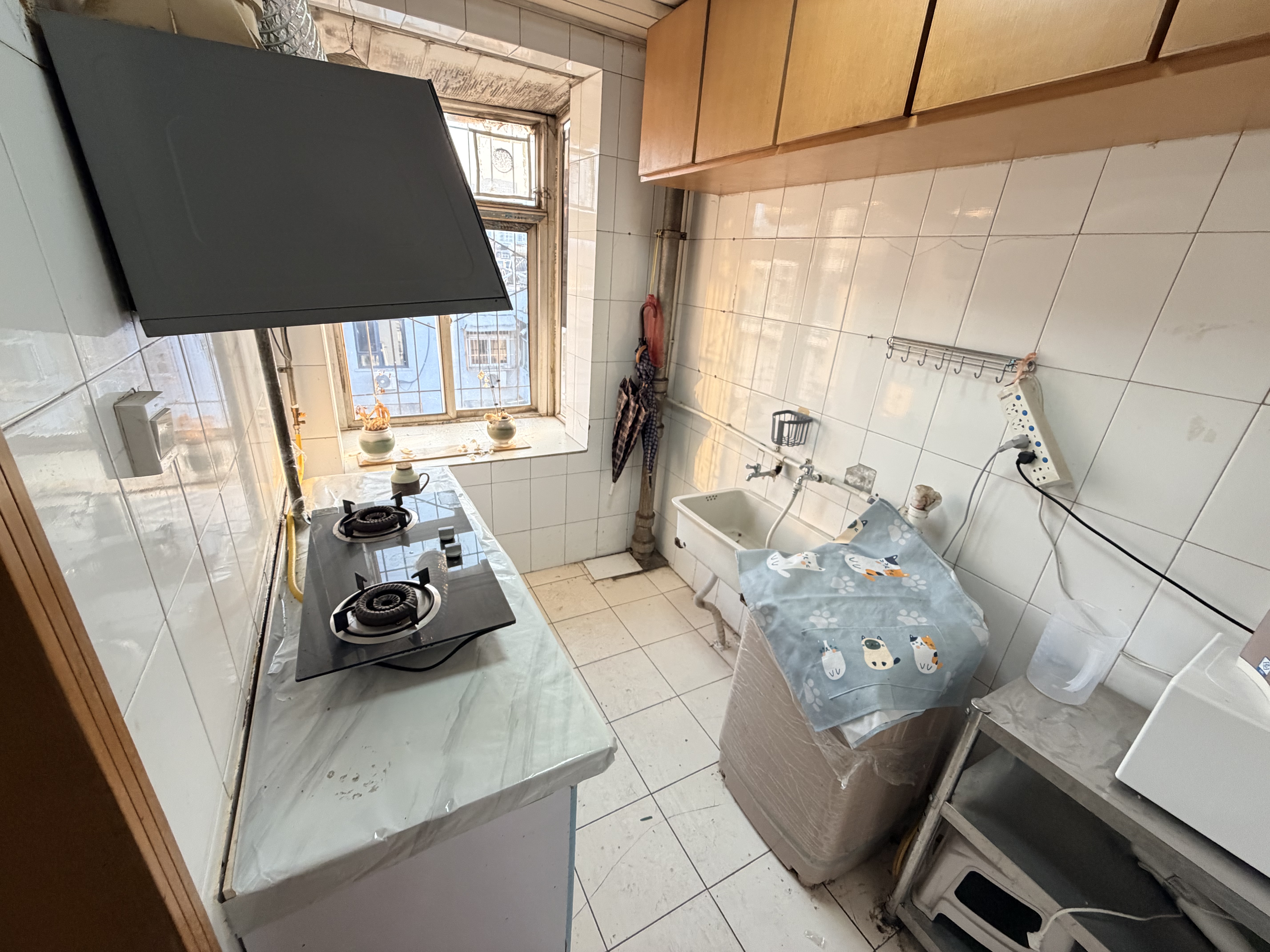 洪家楼西路16-3号