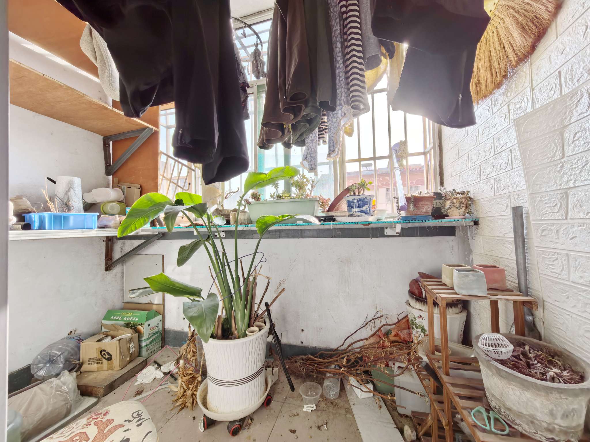 明星小区(章丘)