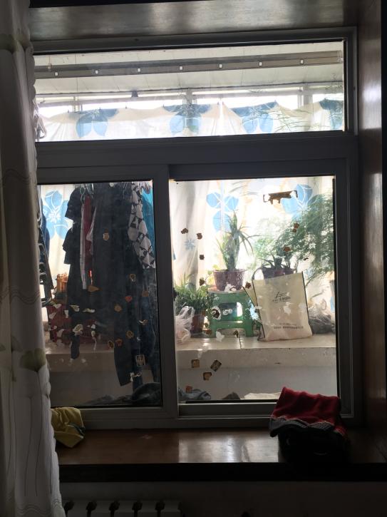 东盛花园（炼油厂单位宿舍南区）