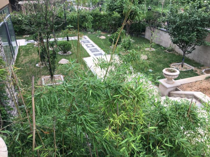  三箭汇福山庄  南北