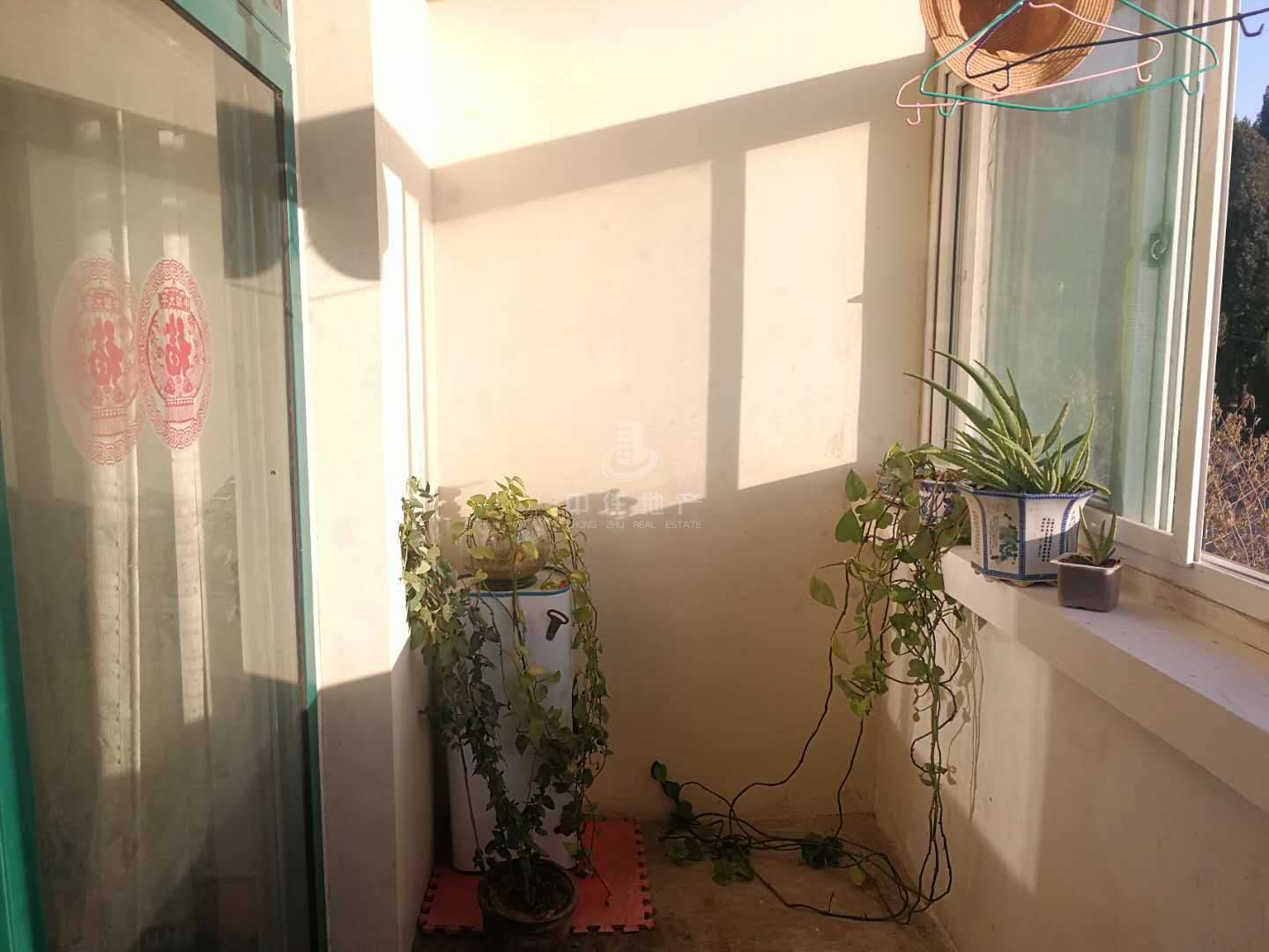 智慧园