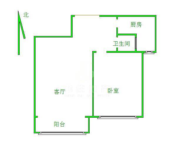 鲁铁花样年华