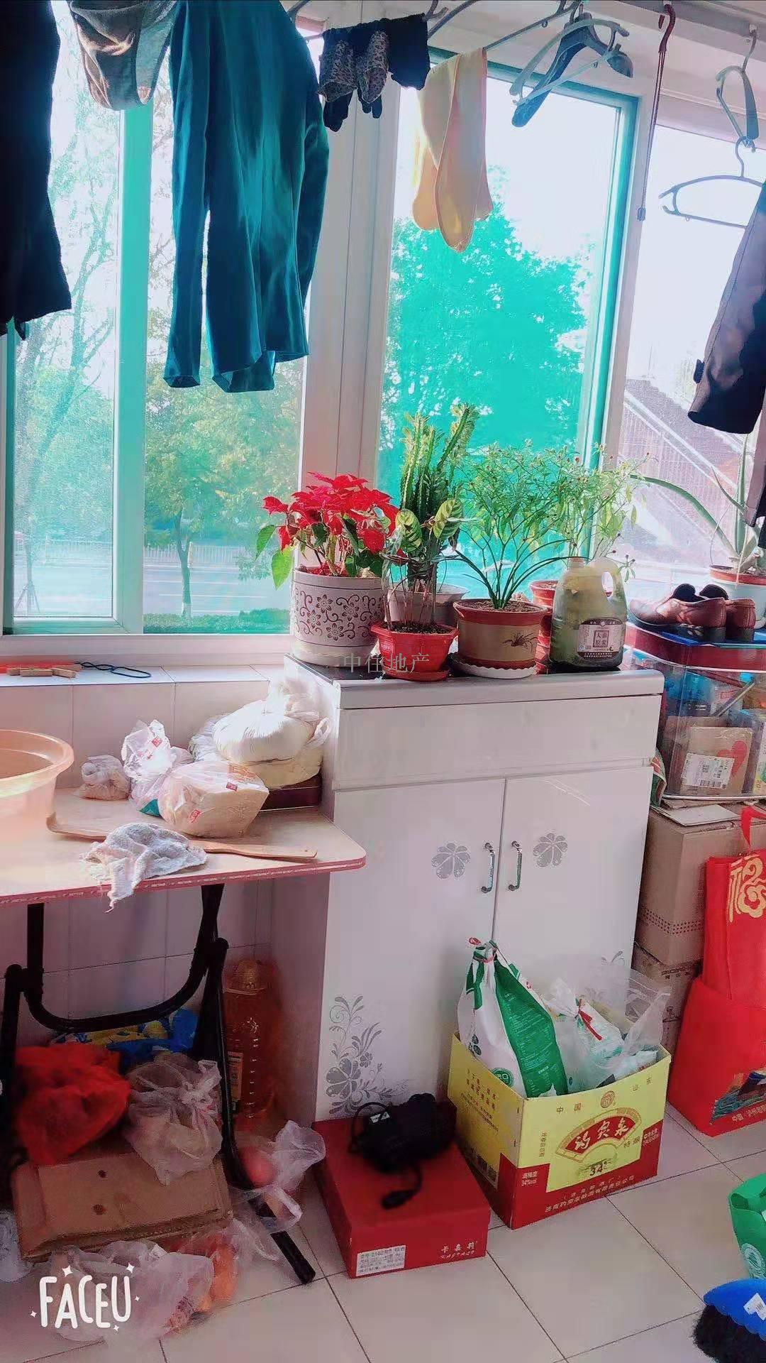 振兴花园