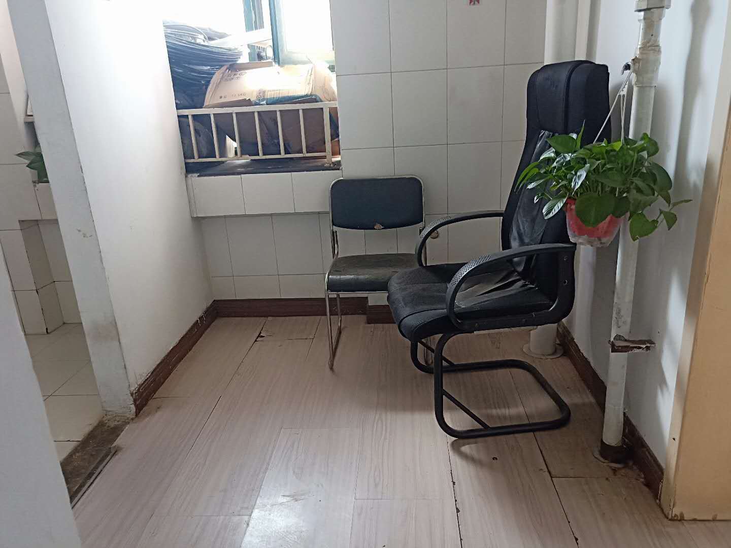 金三角