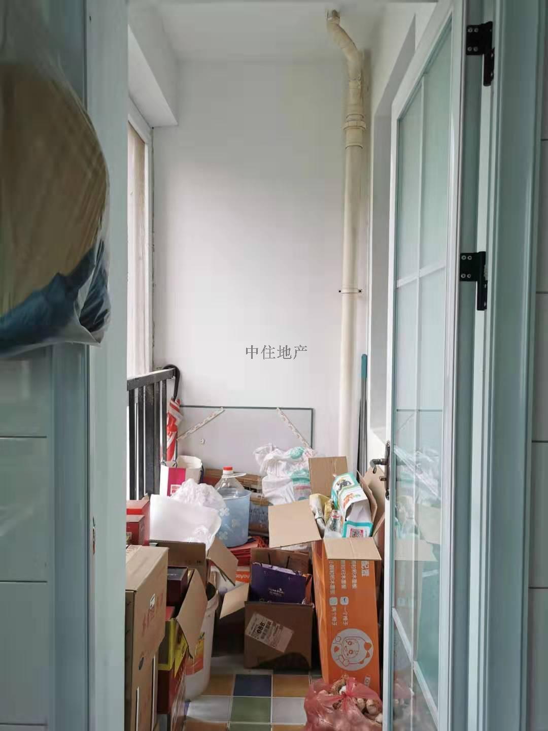 鲁商常春藤