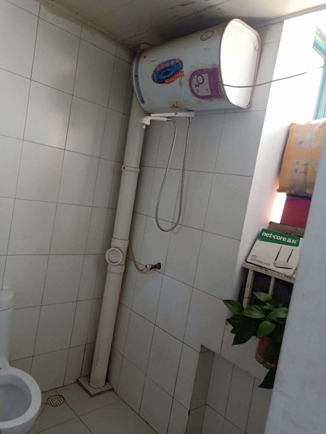 金三角