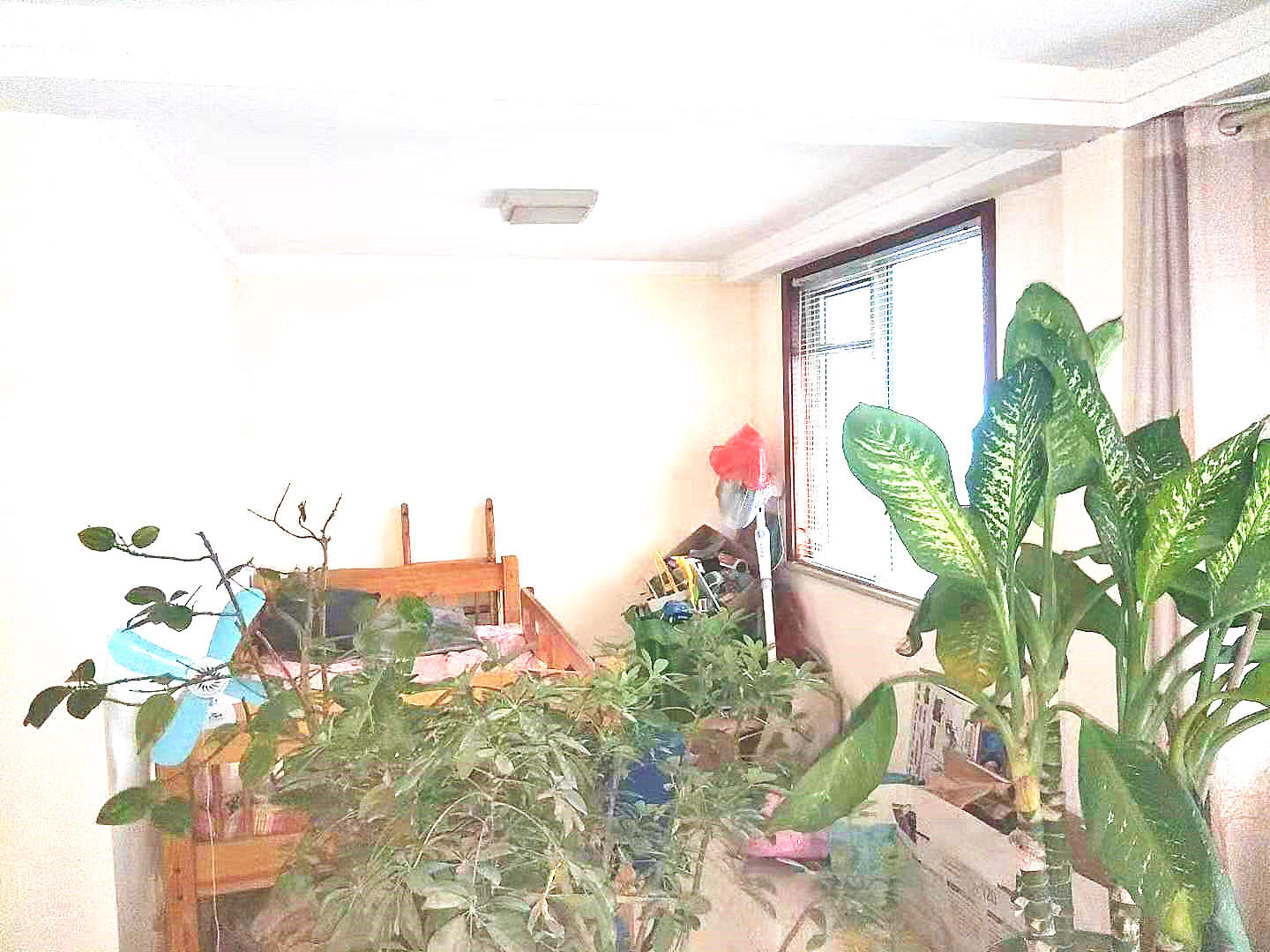 天鸿万象新天四区