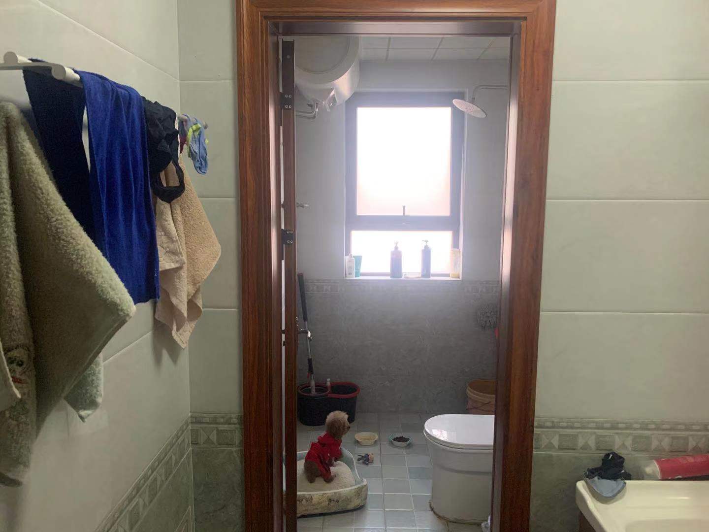 银丰唐郡荷花园