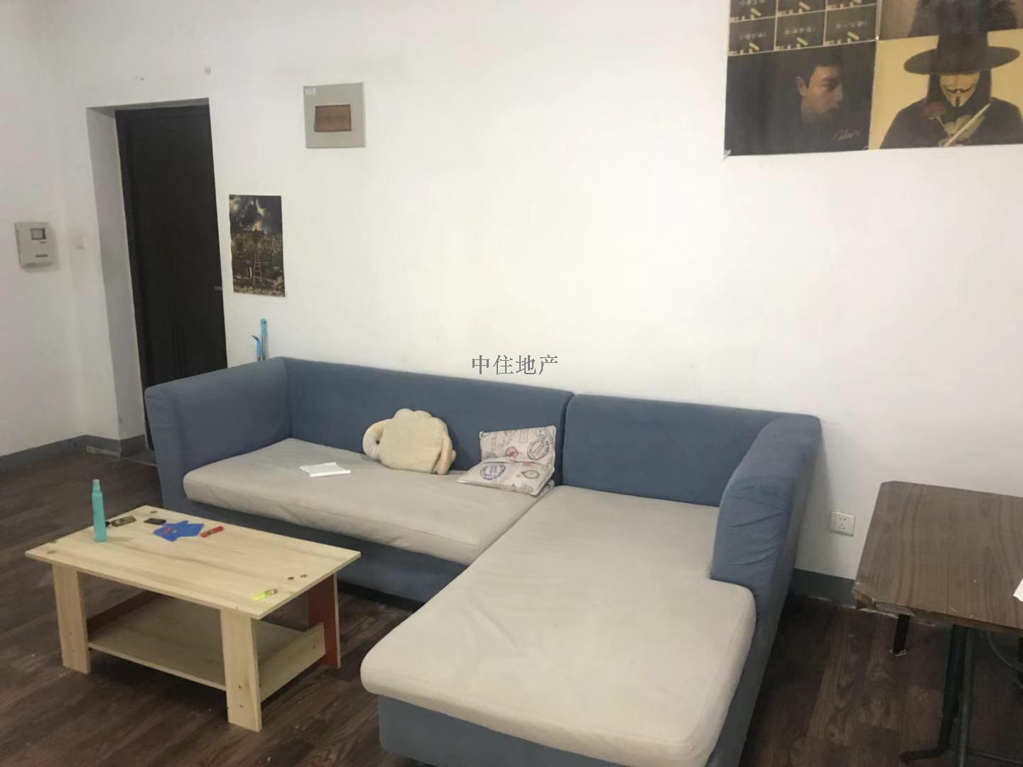 整租·鲁商常春藤  南北