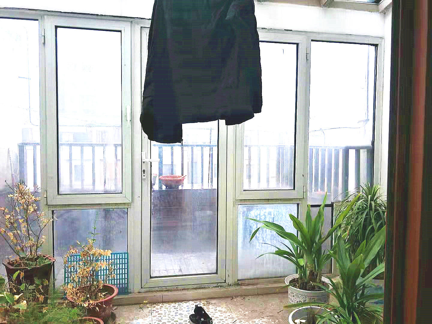 天鸿万象新天四区