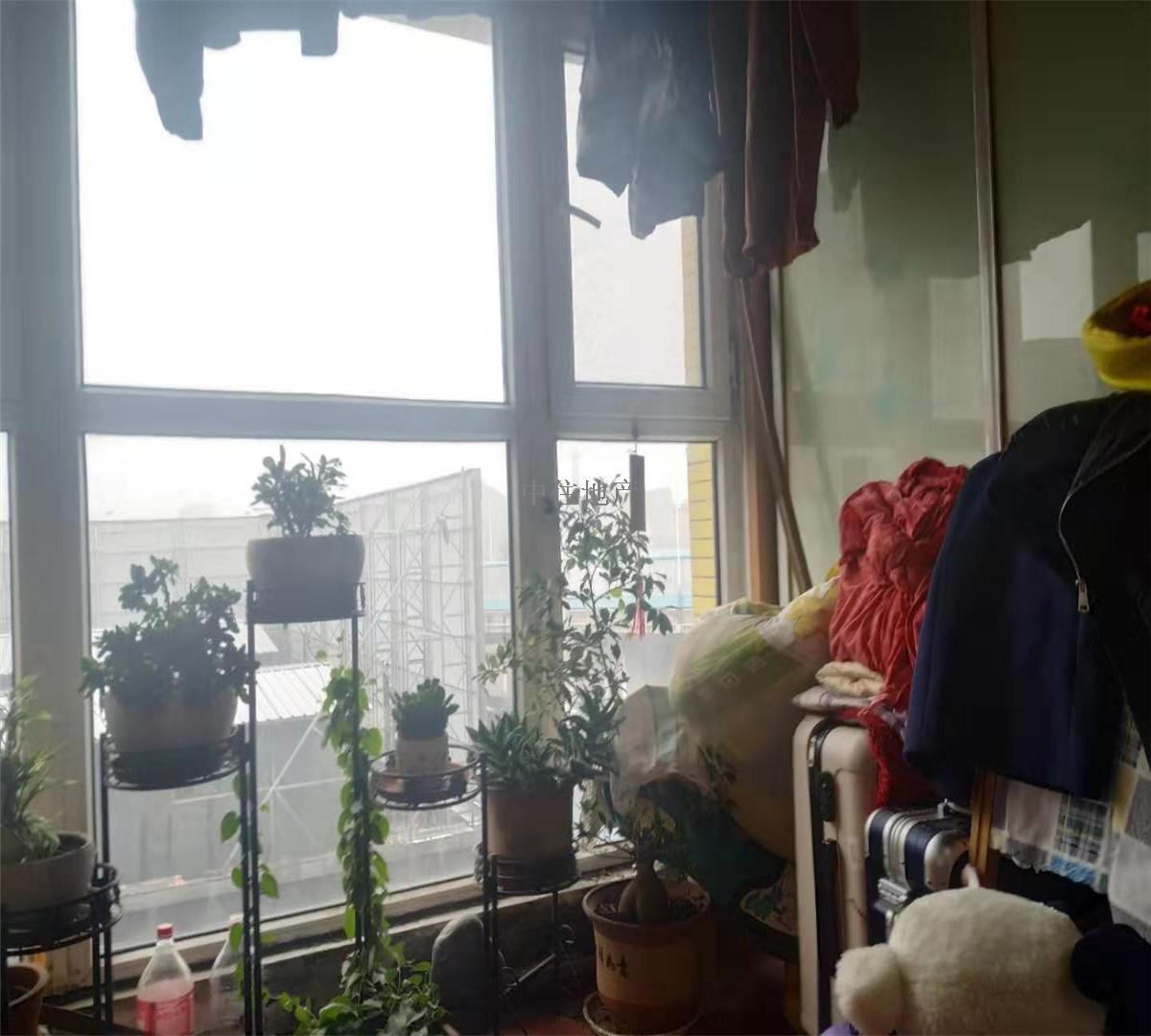 重汽彩世界