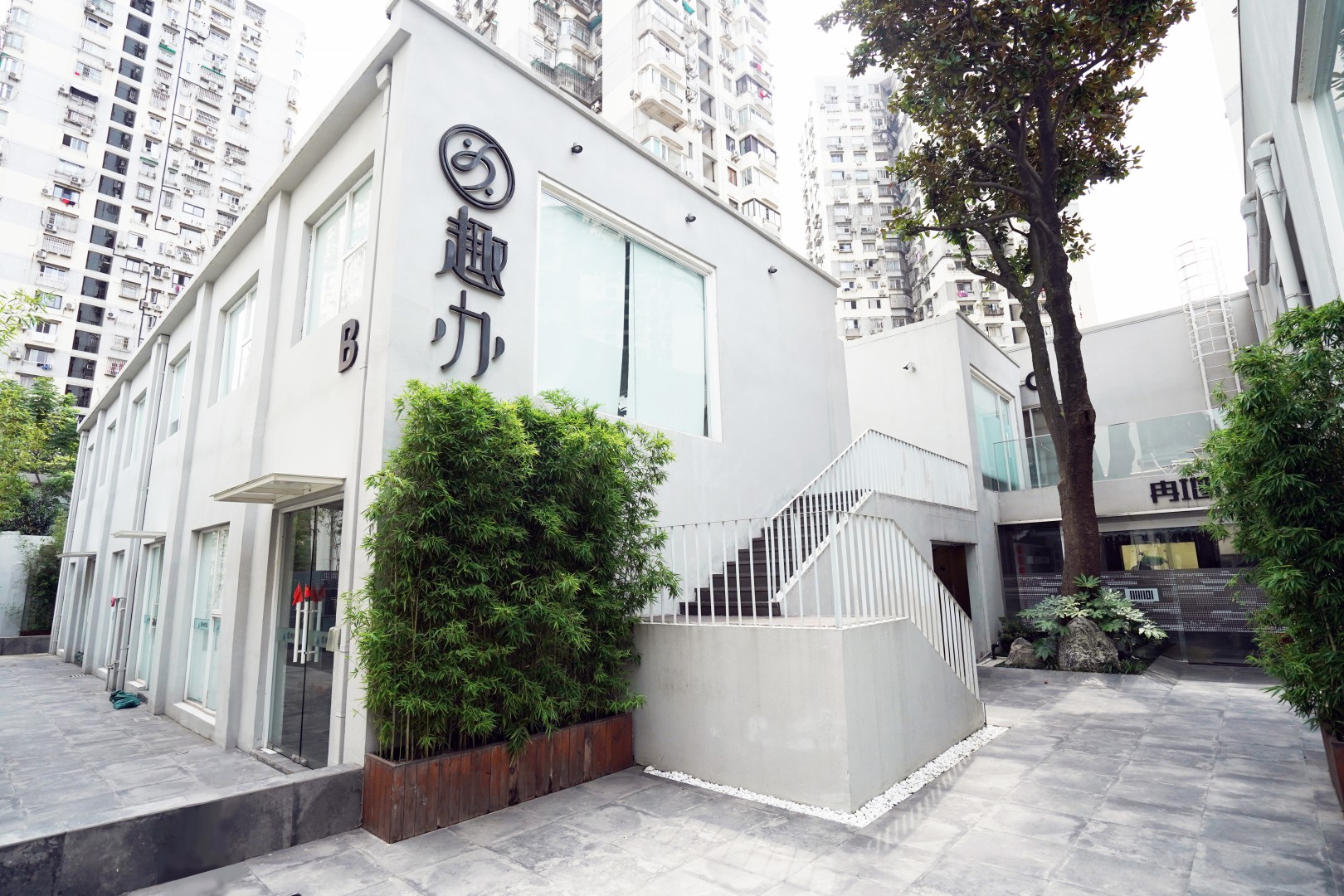 趣办白玉兰