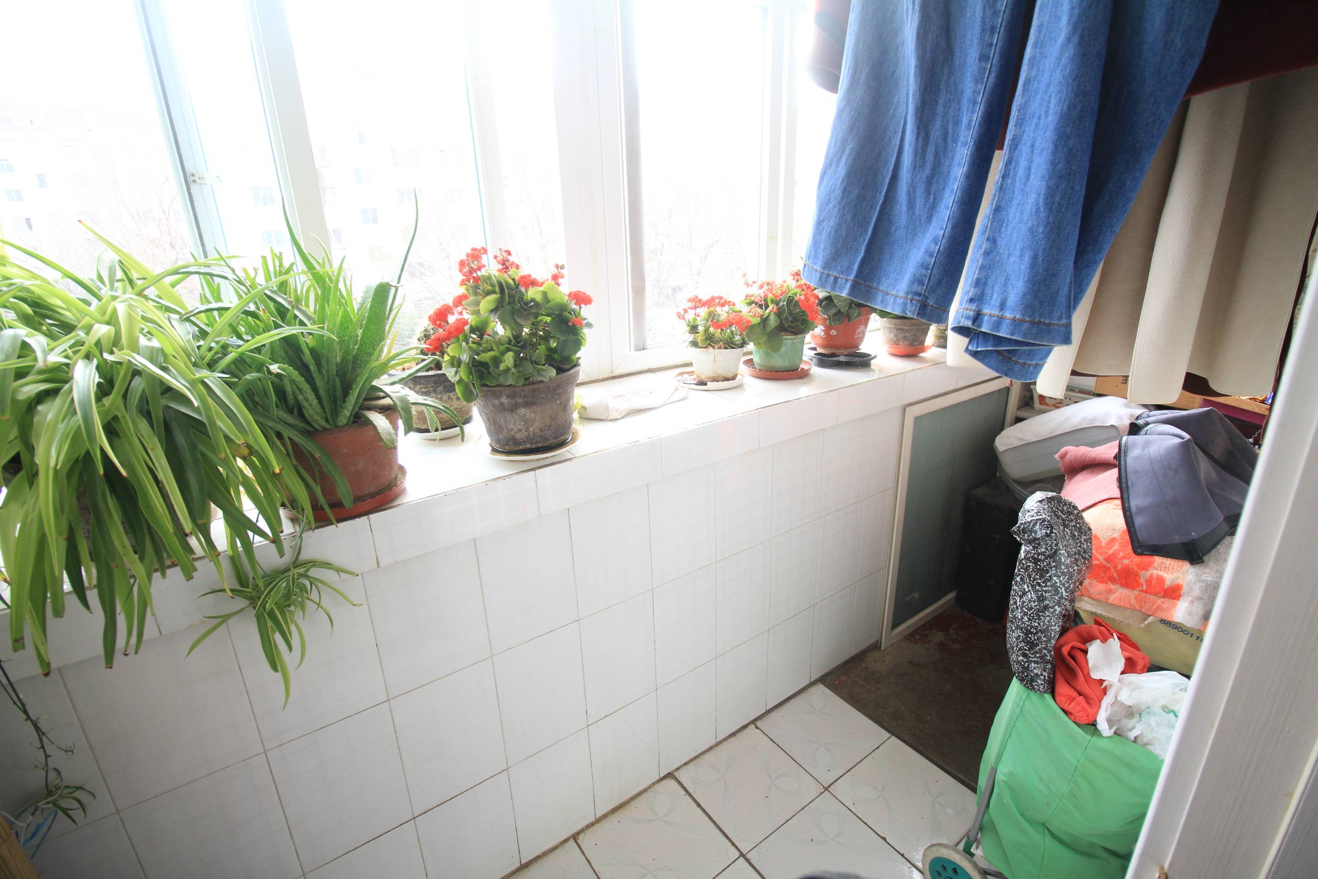 历山路橡胶厂宿舍