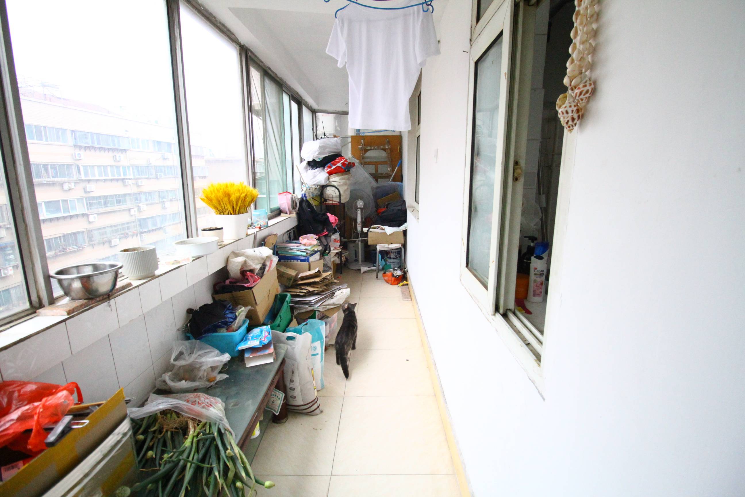 花园庄东路10号