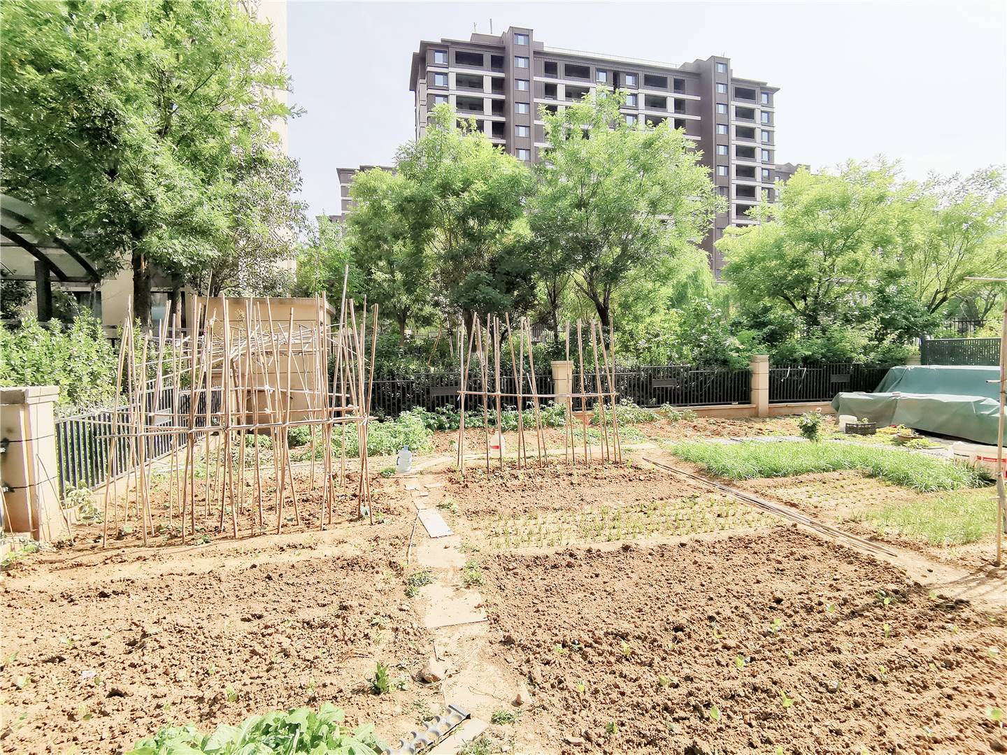 鲁能领秀城漫山香墅