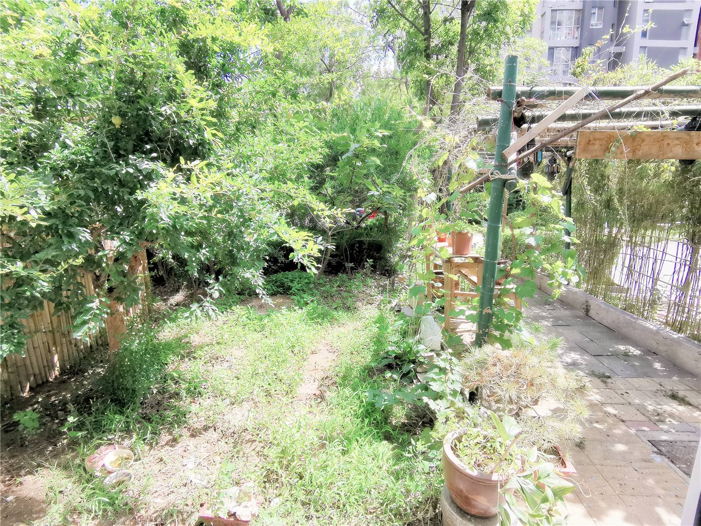 鲁能领秀城A区(十区)