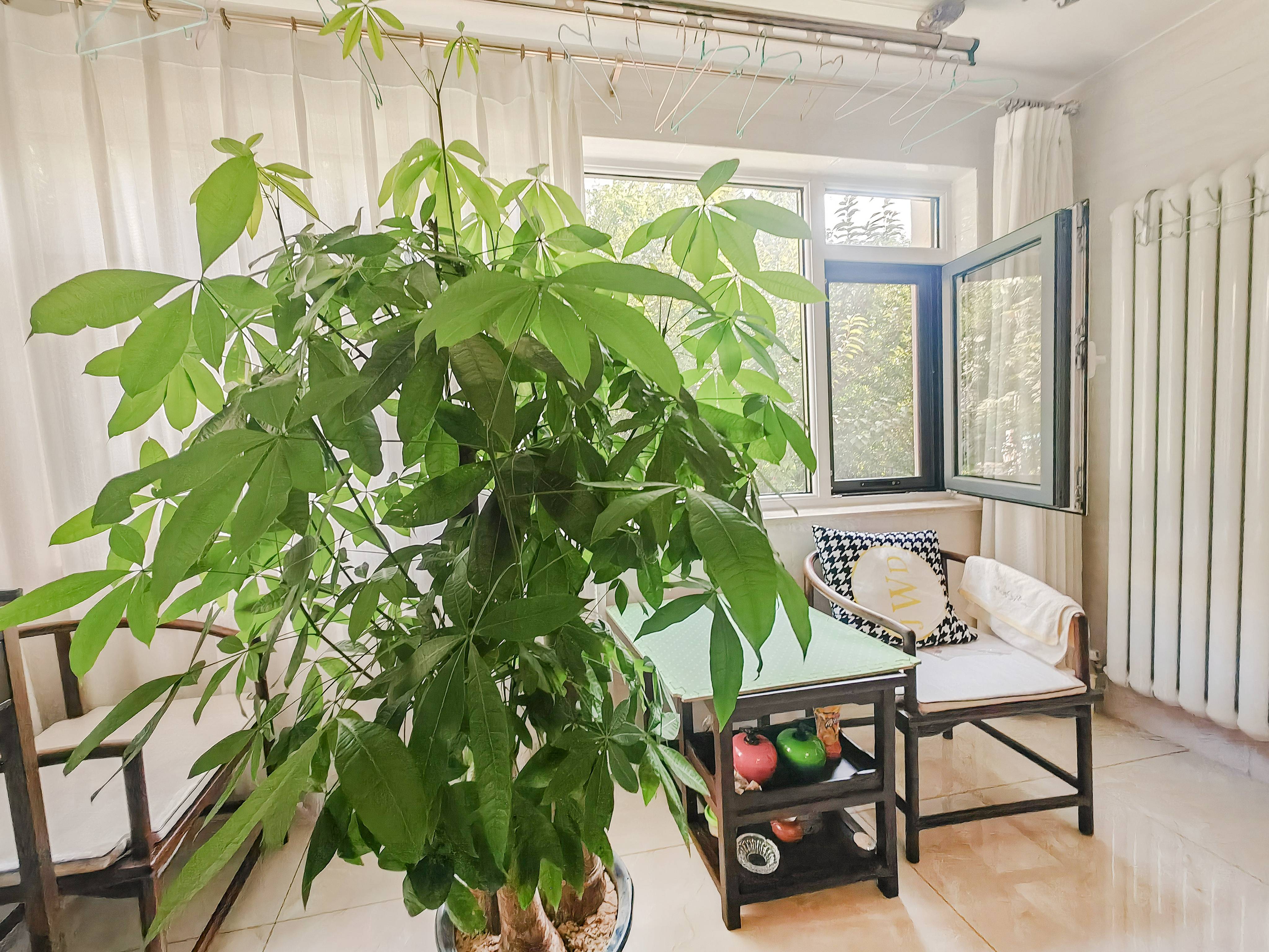 伟东新都（一区）贵都