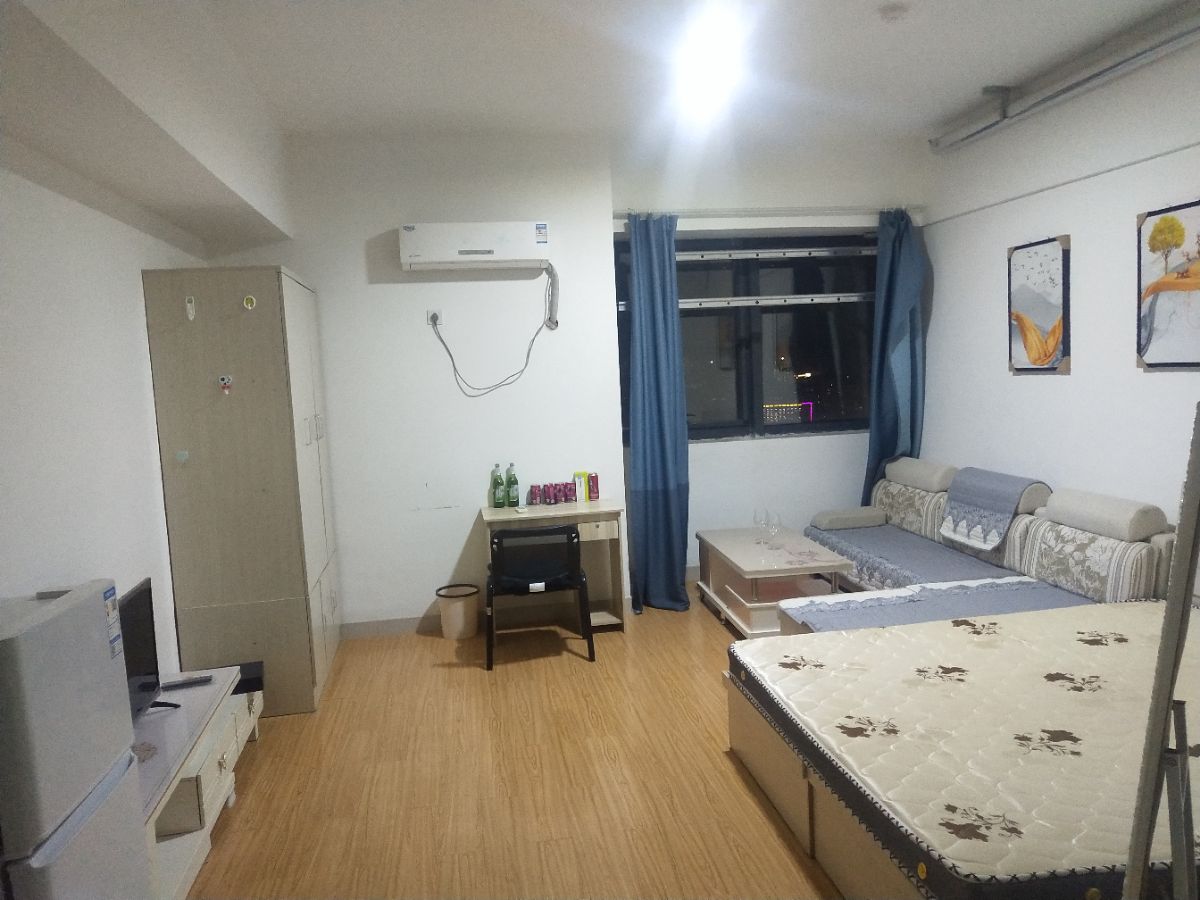 南益名泉春晓公寓,北,1室1厅,45万